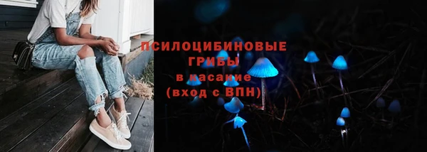 стаф Сатка
