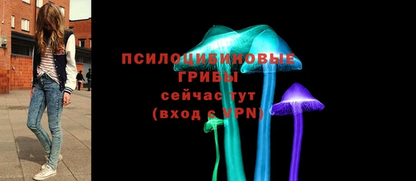 амф Богородицк