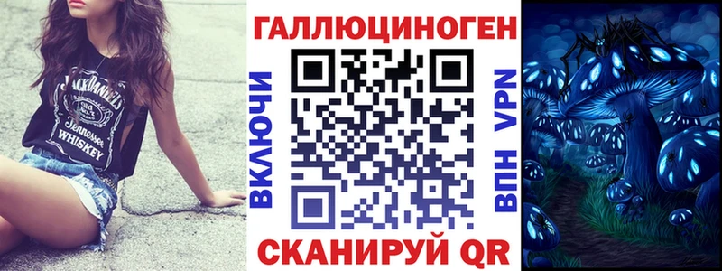 нарко площадка как зайти Сланцы Псилоцибиновые грибы Cubensis