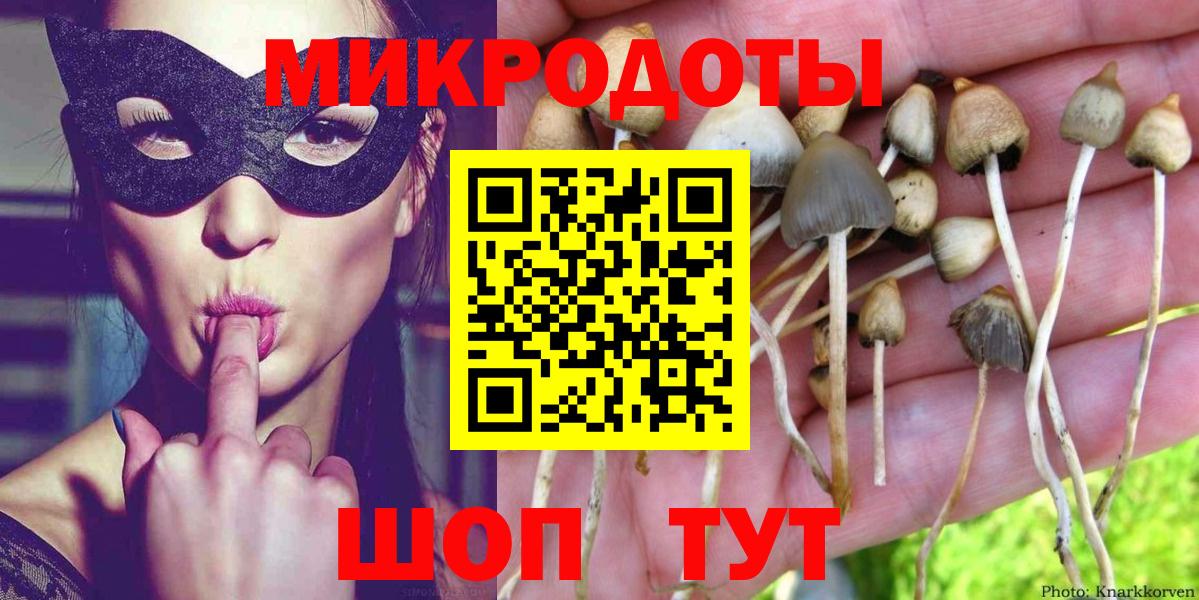 Галлюциногенные грибы MAGIC MUSHROOMS Сланцы